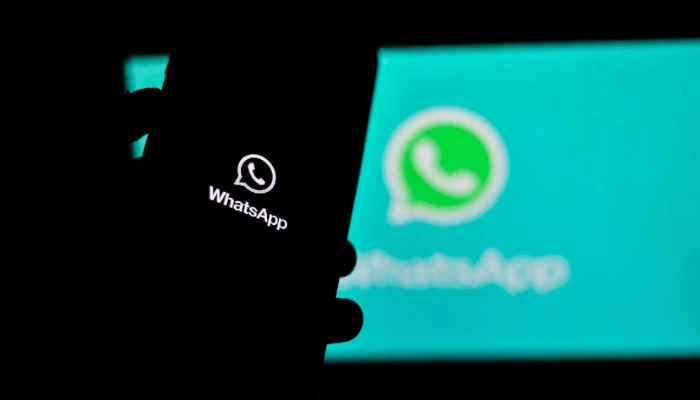 Download WhatsApp spy and learn about WhatsApp spy software